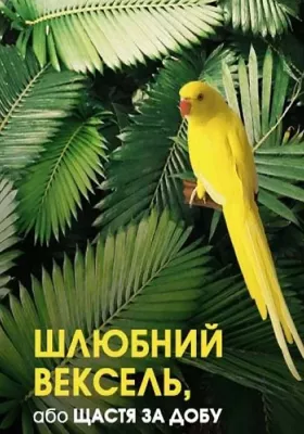 Шлюбний вексель, або щастя за добу 