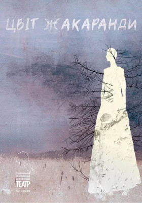 Цвіт Жакаранди 