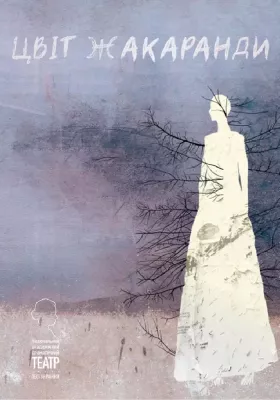 Цвіт Жакаранди 