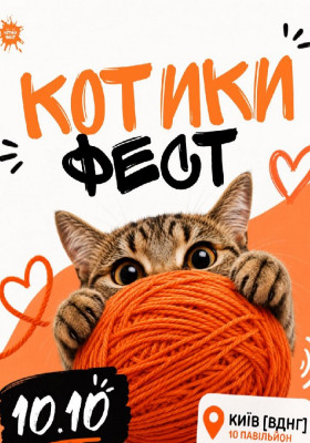 КОТИКИ ФЕСТ