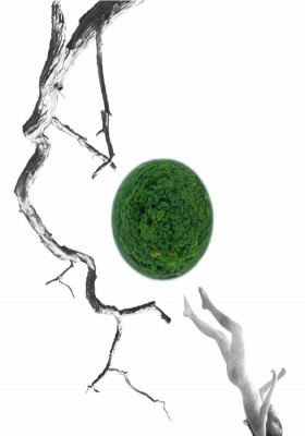 «LISOVA». За Лесею Українкою