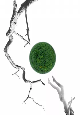 «LISOVA». За Лесею Українкою 